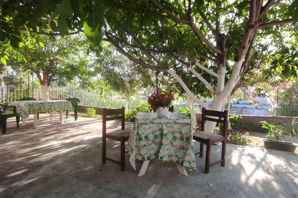 Potami Studios Lefkimmi  Ngoại thất bức ảnh